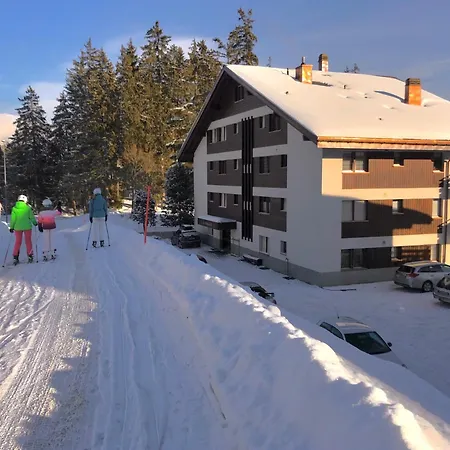 Daire Cozy Crans-Montana